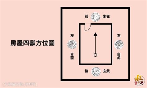 瓦斯爐在龍邊|【風水特輯】瓦斯爐放哪裡最好？有哪些禁忌？風水大師詹惟中詳。